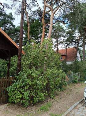 IMG_20250806_153433_1.jpg - Grundstück in Hoppegarten zum Kaufen