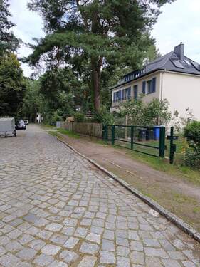 IMG_20250806_153331.jpg - 