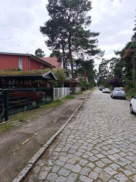 IMG_20250806_153336.jpg - 