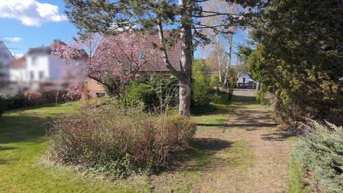 Bild 2 - Grundstück zum Kaufen in Uelzen