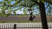 Ausblick - 