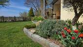 Garten mit Terrasse - 