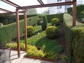 kleiner Garten - 
