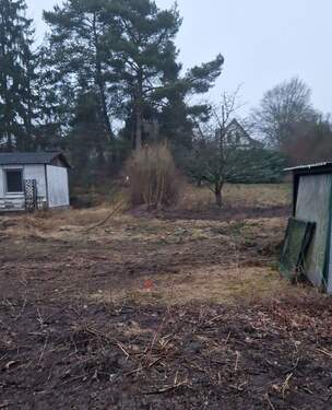 Grundstück innen.jpg - Bernau - großes Baugrundstück - 361.000,00&nbsp;EUR Kaufpreis, ca.&nbsp; 0,00&nbsp;m&sup2;