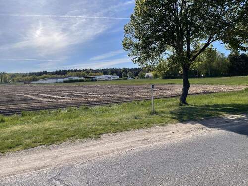 Freies Feld gegenüber - Grundstück in Neuhardenberg