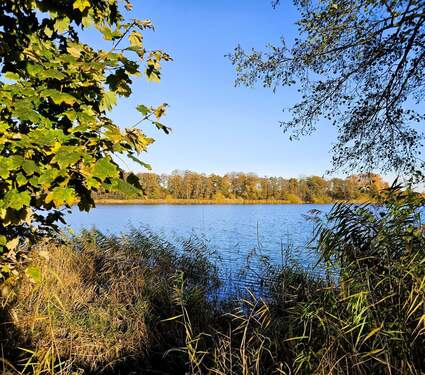 Badestelle Wardersee - 