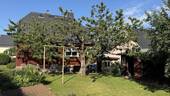 Gartenansicht mit Kirschbaum - 