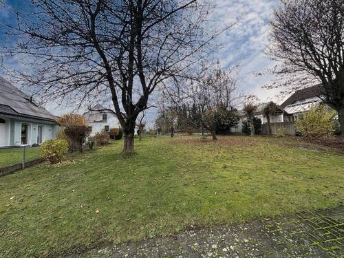 Separates Baugrundstück - Einfamilienhaus mit 262,20 m&sup2; in Steinheim zum Kaufen