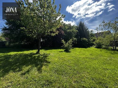 Grünfläche Garten - 
