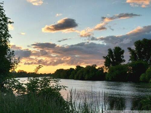 01 Neckarufer vor der Haustür - Wohn- u. Geschäftshs. mit Scheune u. Hinterhaus zum Neckar in Edingen - 60003985