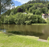 Idyllisches Baugrundstück mit traumhaftem Blick in den Pfälzer Wald - Ruhige Südostlage in Schönau - Schönau (Pfalz)