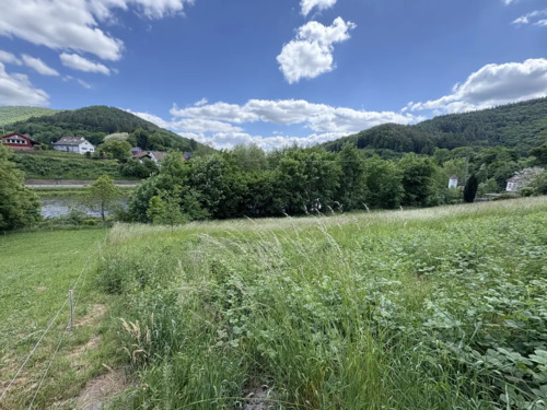 4268be87-6a1e-43dd-bb4b-1a235682daa2-1907228910 - Grundstück in Schönau (Pfalz) zum Kaufen