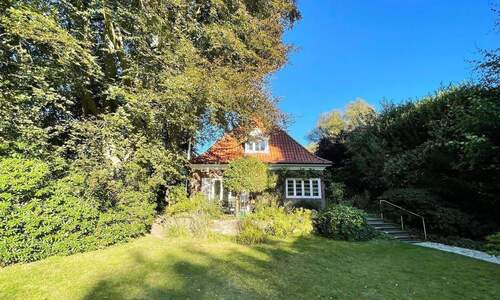 Frontansicht....jpg - 