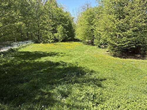 Grundstück 1770 m² - 