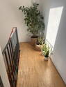 Bild 15 - 