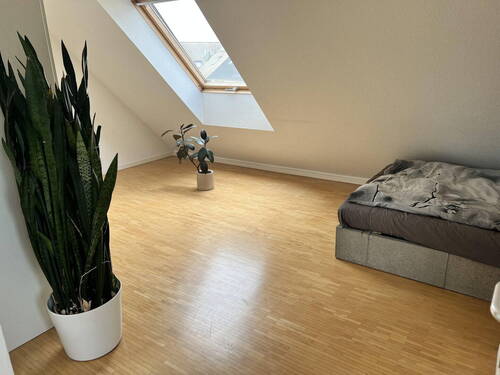 Bild 19 - 