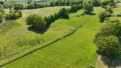 Drohne Koppel .JPG - 