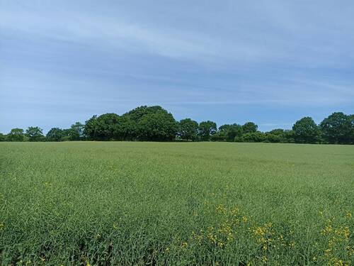 Weitblick über die Felder - 