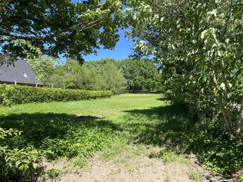 Der Frühling kommt - 