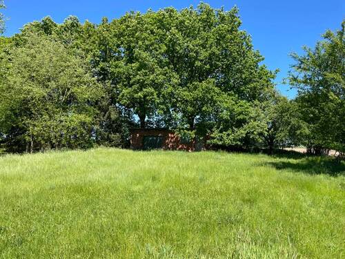 Bäume zum durchatmen - Grundstück in Bunsoh zum Kaufen