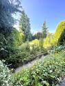 Blick in den Garten - 