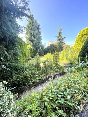 Blick in den Garten - 