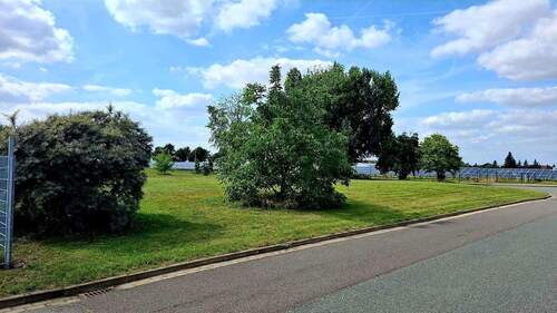 Freifläche-Wiese - Halle in Emersleben zum Kaufen