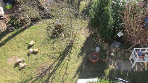 Blick auf das Grundstück - 