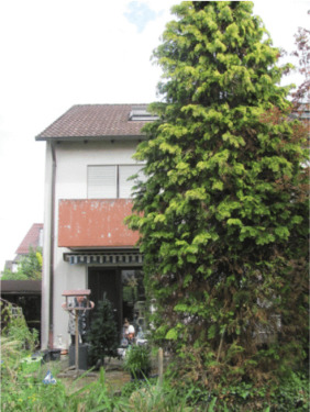 Gartenansicht - Reihenendhaus mit 118,00 m&sup2; in Dormitz zum Kaufen
