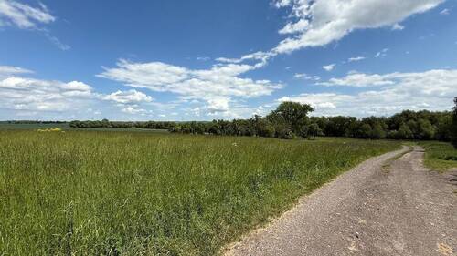 2025-05-26 12.58.00 - Idyllisch am Ortsrand - 131.850,00 EUR Kaufpreis, ca.  0,00 m²