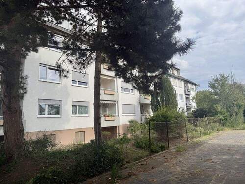Rückansicht - 3 Zimmer Etagenwohnung zum Kaufen in Ludwigshafen am Rhein