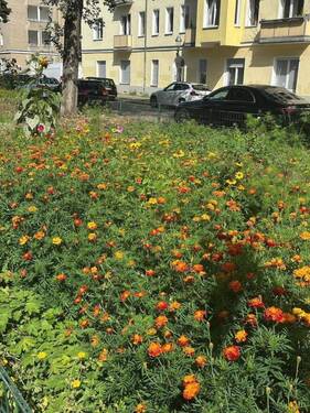 Blumen Strasse.jpg - 
