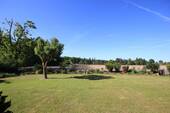 Blick in die Natur - 