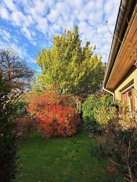Naturnaher Garten - 