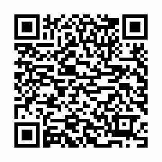 Bild 11 - 