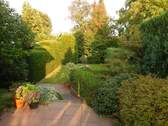 Blick in den Garten - 