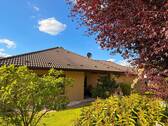 Tolle Bepflanzung - 