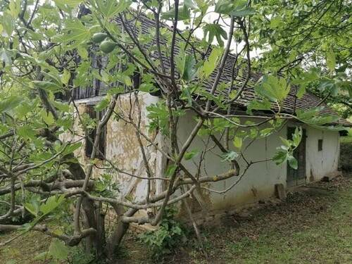  Südliche und Östliche Seite vom Haus - Weinberghaus 35 m2, umgeben von Wäldern, Grundstück 2691m2 12 km von Nagykanizsa entfernt