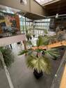 Bild 12 - 