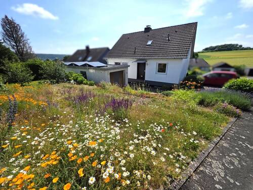 Eingang - 7 Zimmer Einfamilienhaus in Trendelburg