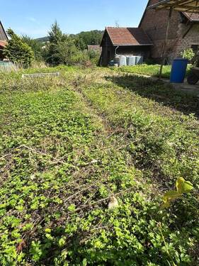 IMG-20240826-WA0102.jpg - Wir haben es gefunden! Ihr ebenerdiges Grundstück