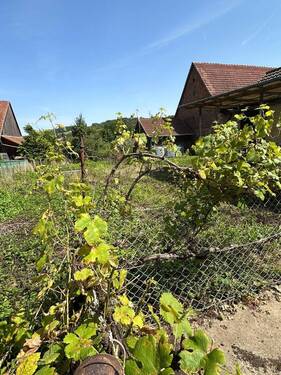 IMG-20240826-WA0096.jpg - Grundstück in Mömbris