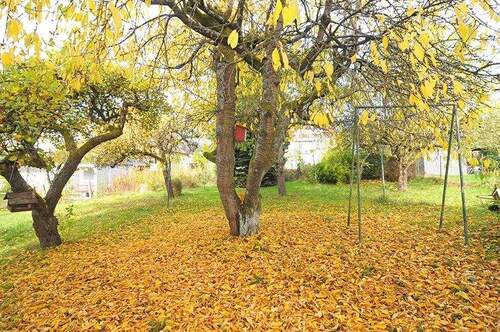 Gartenidylle - Einfamilienhaus mit 206,00 m&sup2; in Sonnefeld zum Kaufen