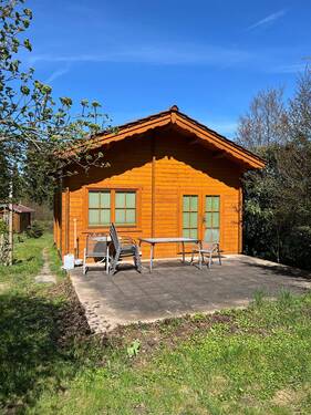 tempImage5s7ec7.jpg - 