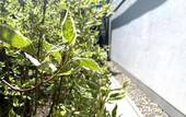 07 Gartenanlage Ost - 