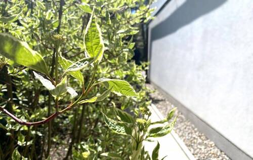 07 Gartenanlage Ost - 