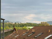 Bild 14 - 