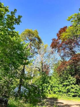 Vielleicht ein Bauplatz (1) - 