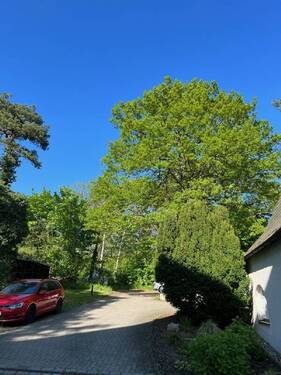 Angekommen - Grundstück zum Kaufen in Dresden