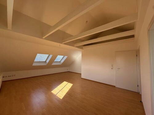 Studio DG - 